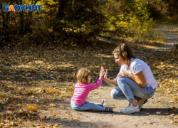 Воронежская область прогреется до +21 на рабочей неделе
