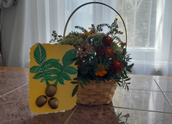 «Три августовских Спаса»: как провести время с детьми на этих выходных 