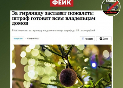 В Воронежской области разоблачили фейк о штрафах за новогодние гирлянды