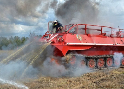 Воронежская область получила 9,5 млн. рублей на покупку лесопожарной техники