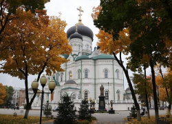 Благотворительная акция «Белый цветок» завершилась вручением сертификатов в Воронеже