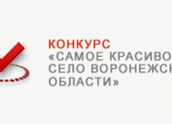 Ульяновка борется за звание  «Самого красивого села Воронежской области». Жюри приступило к инспектированию претендентов.