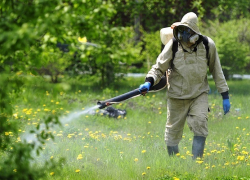 В Воронежской области почти в 2 раза увеличат площадь территории обработки против комаров