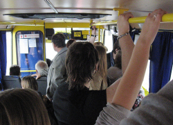 Чиновникам Борисоглебска предложили пересесть с «Camry» на маршрутки