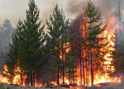 В 22 районах Воронежской области установлен высокий уровень пожарной опасности