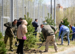 Более 111 тысяч человек приняли участие в региональном субботнике в Воронежской области 