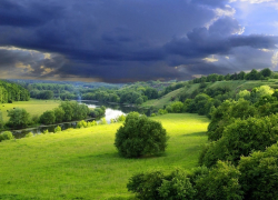 Каким будет лето в Воронежской области  в 2019 году