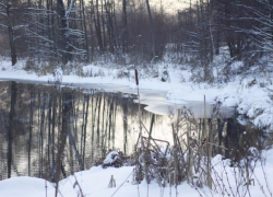 Правительство Воронежской области взяло под охрану 48 памятников природы 
