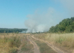 В Грибановском районе горит луг. Фото нашего нар.корра с места событий.