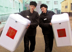 Борисоглебские заключённые смогут проголосовать на президентских выборах