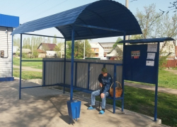 Перевозчики Борисоглебска за свой счет благоустроили остановочные павильоны