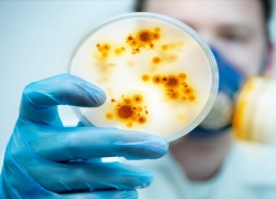 В Воронежской области на 20% понизилось количество инфекционных заболеваний