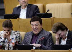 Депутатов и сенаторов хотят более строго наказывать за несоответствие доходов и расходов