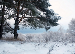 В последние дни января в Борисоглебске установится стабильная погода