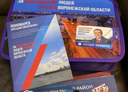 Комментарии по поводу  политического пиара   на школьных линейках дали в избиркоме Воронежской области 