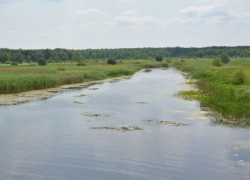 В Воронежской области отметят границы водоохранных зон и прибрежных защитных полос рек