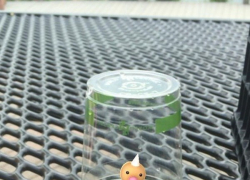 Покемоны в Борисоглебске прячутся на "театралке" и у колеса обозрения 