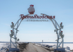 Самый высокий рост цен на яйца в Воронежской области зафиксировали на «Третьяковской птицефабрике»