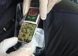  360 часов обязательных работ получил юный любитель конопли из Карачана