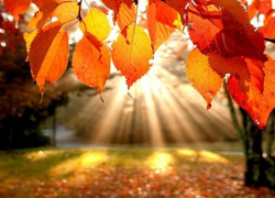 Антициклон с юго-запада вернет лето в Борисоглебск