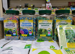 Начинаем готовиться к сезону рассады вместе с ТК «БАZАР»