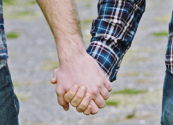 Власти Воронежской области срочно передумали изучать гомосексуалистов