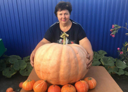 В селе Рождественское Поворинского района вырастили тыкву-тяжеловеса