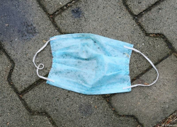 Воронежская область выздоравливает