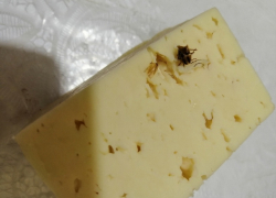 Жительница Борисоглебска купила в магазине сыр с «сюрпризом»