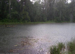 МЧС объявило штормовое предупреждение из-за обильных дождей в Воронежской области