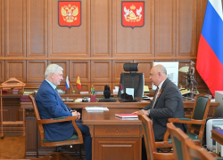 Почти 900 млн рублей инвестиций привлек Терновский район