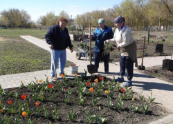 В конкурсе на соискание областных грантов участвуют 7 заявок от ТОСов Борисоглебска