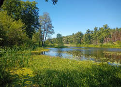 Хопёрский заповедник стал больше на 580 га