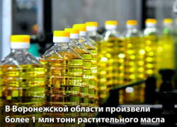 Абсолютный рекорд по производству растительного масла установила Воронежская область 