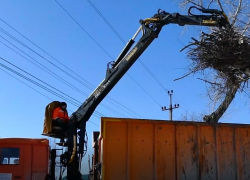 Да ладно?! Порядок на контейнерных площадках администрация Борисоглебска  и регоператор  обещают навести совместно