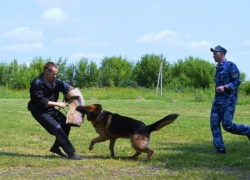 Борисоглебские кинологи стали призерами областных соревнований по многоборью