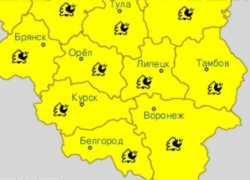 Желтый уровень опасности объявили в Воронежской области из-за погоды