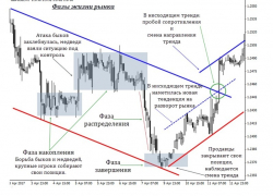 Какими инструментами пользоваться начинающему трейдеру?