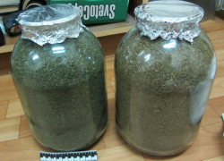 В Поворинском районе полицейские изъяли у местного жителя более 2 кг марихуаны