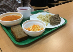 В летних лагерях Воронежской области кормят детей продуктами неизвестного происхождения