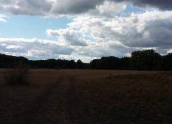 Штормовое предупреждение из-за заморозков объявили в Воронежской области