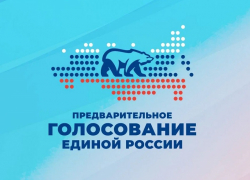 «Единая Россия» определилась с кандидатами в Борисоглебскую городскую Думу