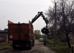 Борисоглебцев призвали придерживаться графика вывоза мусора