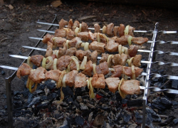 С 1 апреля борисоглебцам запрещено жарить шашлыки в лесу