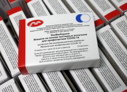 Более 50 000 доз вакцины от коронавируса поступили в Воронежскую область 