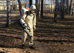 В Воронежской области готовятся к войне с клещами