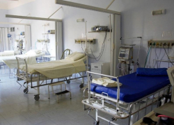 Число болеющих и выздоровевших от коронавируса в Воронежской области  показали на графиках