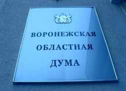 Депутаты Воронежской облдумы законодательно запретят продажу снюса в регионе