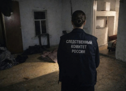 Грибановец, убивший свою знакомую в Крещенскую ночь, предстанет перед судом
