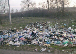 Завалы мусора на выезде из Новохоперска попали на фото